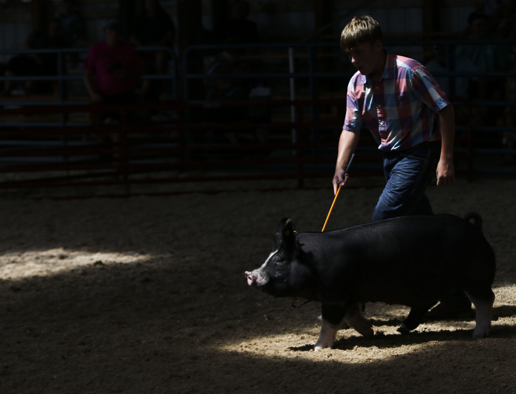 080921-qc-nws-fair-11.JPG